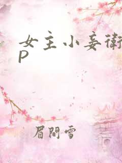 女主小妾卫府NP