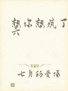 想你想疯了 奚六