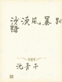 沙漠风暴 跳跳糖