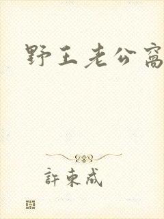 野王老公窝