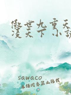 傲世九重天 风凌天下 小说