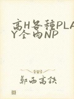 高H各种PLAY全肉NP