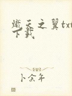 炽天之翼txt下载
