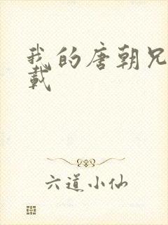 我的唐朝兄弟下载