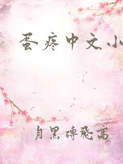 蛋疼中文小说网