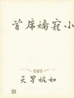 首席娇宠小情人