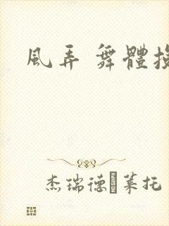 风弄 舞体投递