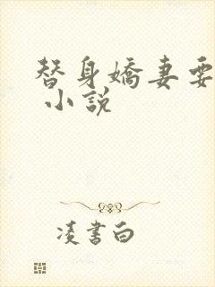 替身娇妻要离婚 小说