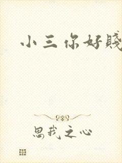 小三你好贱下载
