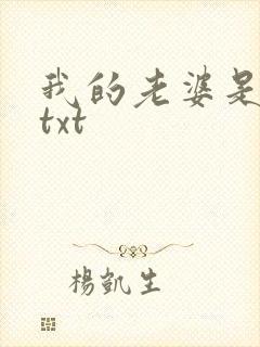 我的老婆是警察txt