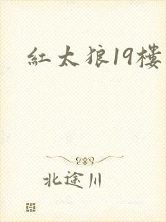 红太狼19楼