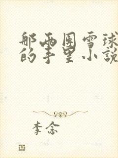 那两团雪球在他的手里小说