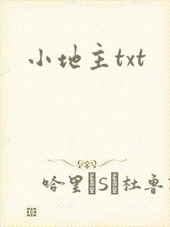小地主txt