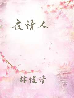 夜情人