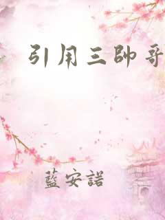 引用三帅哥