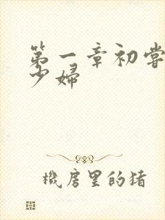 第一章初尝云雨少妇