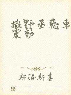 撒野丞飞车道具震动