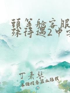 头等舱客服的特殊待遇2中字