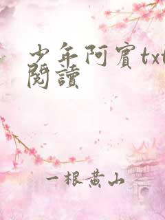 少年阿宾txt阅读
