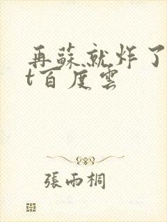 再苏就炸了txt百度云