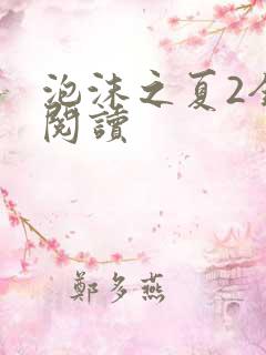 泡沫之夏2全文阅读