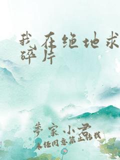 我在绝地求生捡碎片