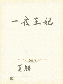 一夜王妃