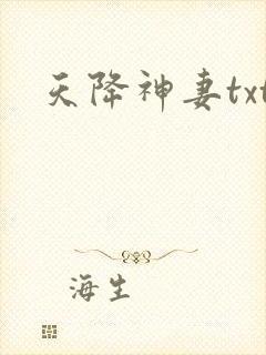 天降神妻txt