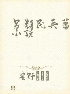 另类民兵葛二蛋小说