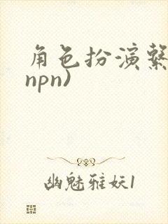 角色扮演系统(npn)