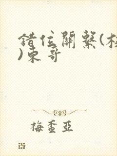 错位关系(校园)东哥