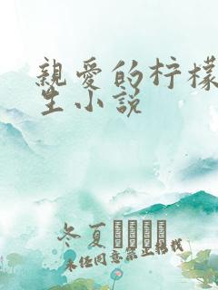 亲爱的柠檬精先生小说