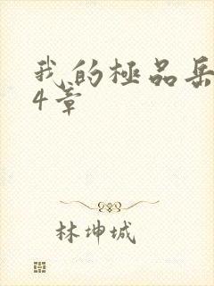 我的极品岳坶34章