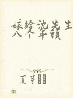 嫁给沈先生的第八个年头