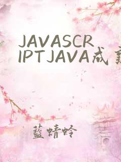 JAVASCRIPTJAVA成熟亲子