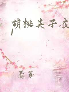 胡桃夹子夜未眠1