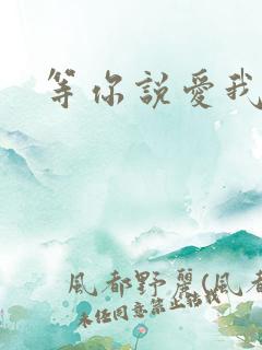 等你说爱我小说