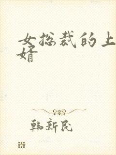 女总裁的上门女婿