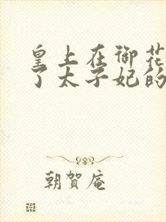 皇上在御花园c了太子妃的网剧