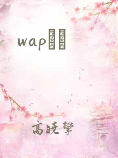 wapС˵