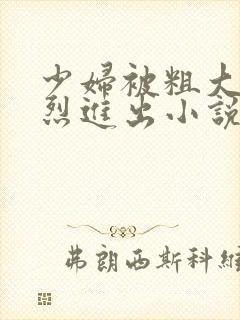 少妇被粗大的猛烈进出小说网