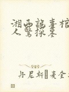 湘西诡事棺山道人惊探墓