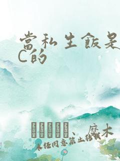 当私生饭是要挨C的