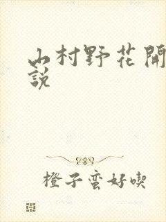 山村野花开 小说