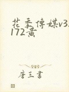 花季传媒v3.172黄