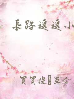 长路遥遥小说