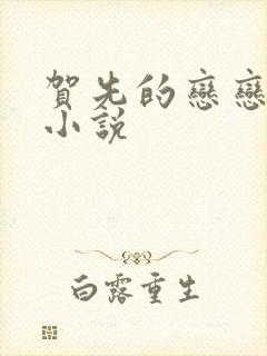 贺先的恋恋不忘小说