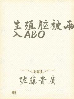 生殖腔被两根进入ABO