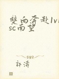 双向奔赴1v1sc南望