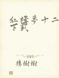 红楼梦十二金钗下载